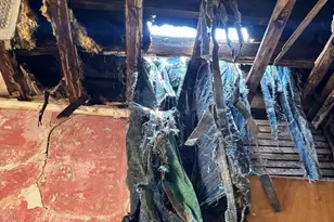 5951 S Elizabeth St, Chicago, IL 60636 - Photo 17