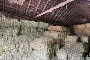 [Address not provided], Somonauk, IL 60552 - Photo 35