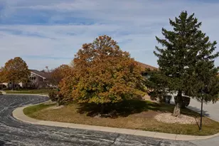 10937 California Ct, Orland Park, IL 60467 - Photo 7