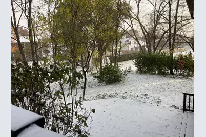 4080 Fir Court, Hoffman Estates, IL 60192 - Photo 23