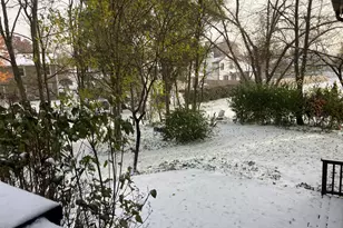 4080 Fir Ct, Hoffman Estates, IL 60192 - Photo 23