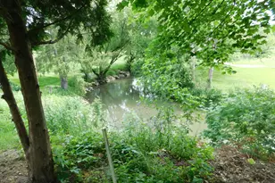 [Address not provided], Earlville, IL 60518 - Photo 5