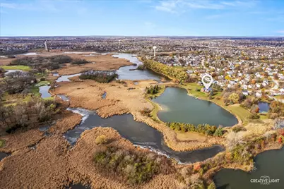 675 White Pine Circle, Lake in the Hills, IL 60156 - Photo 39