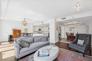 250 E Pearson St, Chicago, IL 60611 - Photo 7