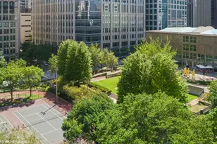 250 E Pearson St, Chicago, IL 60611 - Photo 21