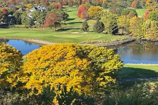 6420 Double Eagle Dr, Woodridge, IL 60517 - Photo 19