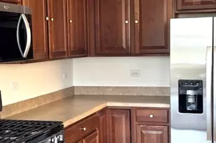 13455 Nealy Rd, Huntley, IL 60142 - Photo 7