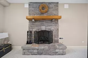 479 S Julian St, Naperville, IL 60540 - Photo 57