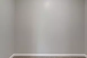 386 W 3rd St, Braidwood, IL 60408 - Photo 19