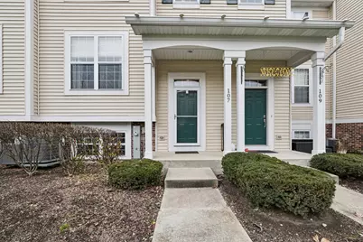 107 Terra Springs Drive, Volo, IL 60020 - Photo 1