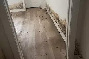 430 E 46th St, Chicago, IL 60653 - Photo 23