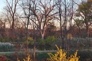 21882 410 E St, Sheffield, IL 61361 - Photo 47