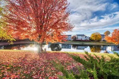 5130 Freeport Drive #5130, Plainfield, IL 60586 - Photo 31