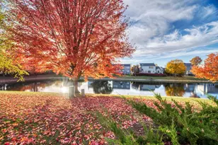 5130 Freeport Dr, Plainfield, IL 60586 - Photo 31