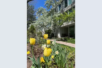 3451 Harrison Street, Evanston, IL 60201 - Photo 1