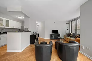 480 N McClurg Ct, Chicago, IL 60611 - Photo 7