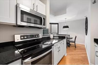 480 N McClurg Court #1219, Chicago, IL 60611 - Photo 15