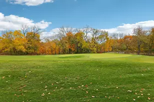 1115 Colfax St, Evanston, IL 60201 - Photo 57