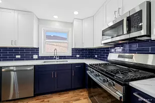 9241 S Kingston Ave, Chicago, IL 60617 - Photo 17