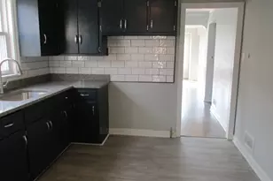 14311 Clark St, Riverdale, IL 60827 - Photo 11