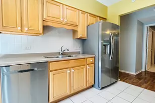 11 S Wille St, Mount Prospect, IL 60056 - Photo 9