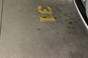 1210 N Foxdale Dr, Addison, IL 60101 - Photo 29