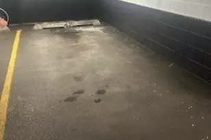 7730 W Dempster St, Morton Grove, IL 60053 - Photo 45