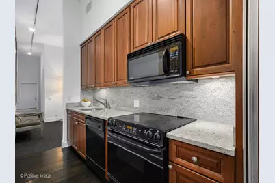 1244 W Chicago Avenue, Chicago, IL 60642 - Photo 9