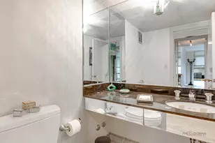 1040 N Lake Shore Dr, Chicago, IL 60611 - Photo 17