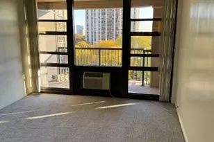 2605 S Indiana Ave, Chicago, IL 60616 - Photo 11