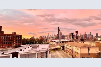 2310 S Canal Street #401, Chicago, IL 60616 - Photo 17