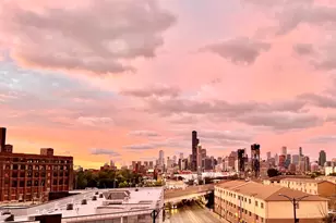 2310 S Canal St, Chicago, IL 60616 - Photo 17