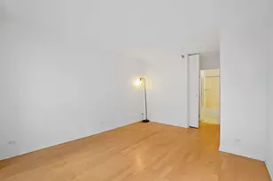 440 N Wabash Ave, Chicago, IL 60611 - Photo 11