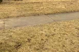 15213 Marshfield Ave, Harvey, IL 60426 - Photo 1