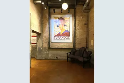 2545 S Dearborn Street #509, Chicago, IL 60616 - Photo 3