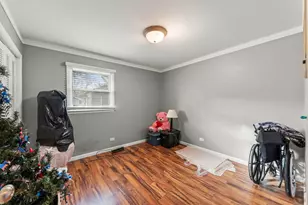 10501 Cindy Jo Ave, Huntley, IL 60142 - Photo 19