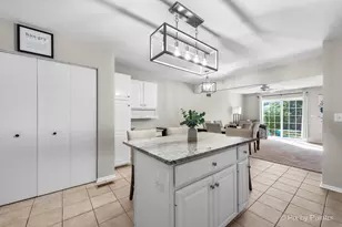 519 Shagbark Dr, Elgin, IL 60123 - Photo 13