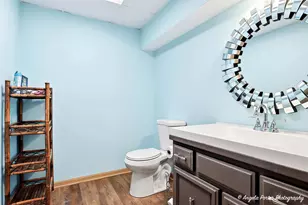 23209 Cals Ct, Harvard, IL 60033 - Photo 29