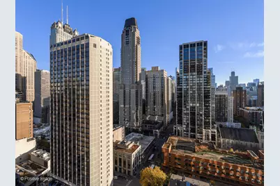 1030 N State Street #21J, Chicago, IL 60610 - Photo 15