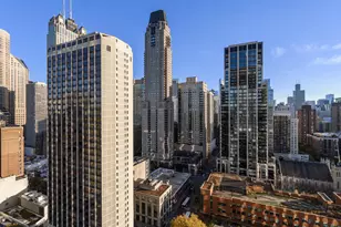 1030 N State St, Chicago, IL 60610 - Photo 15