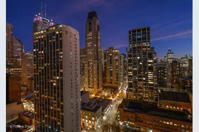 1030 N State Street #21J, Chicago, IL 60610 - Photo 17