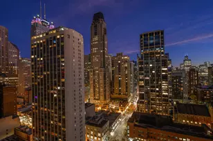 1030 N State St, Chicago, IL 60610 - Photo 17