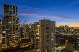 1030 N State St, Chicago, IL 60610 - Photo 19