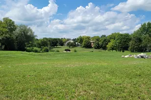 1350 MacAlpin Dr, Inverness, IL 60010 - Photo 1