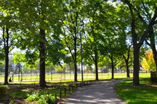 3213 S Wells St, Chicago, IL 60616 - Photo 27