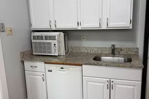 217 A Washington Blvd, Oak Park, IL 60302 - Photo 7