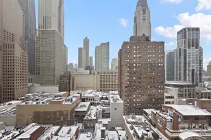 [Address not provided], Chicago, IL 60611 - Photo 7