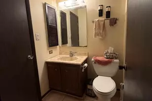 20125 Woodale St, Lynwood, IL 60411 - Photo 15