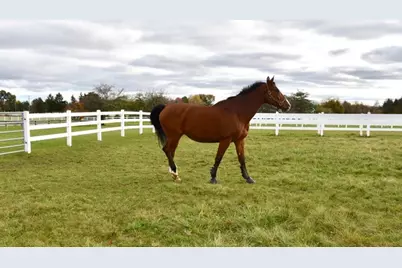 36968 N Thoroughbred Drive, Old Mill Creek, IL 60083 - Photo 93