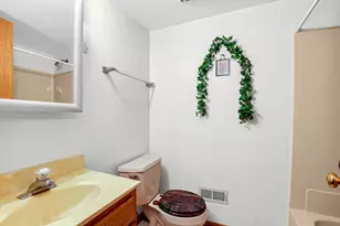 6601 Martin France Cir, Tinley Park, IL 60477 - Photo 19